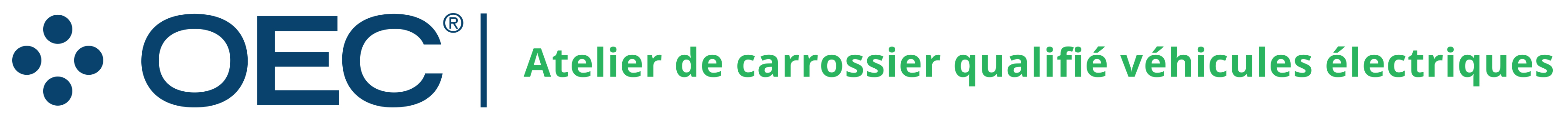 Electric Vehicle Handling Qualified Collision Centre